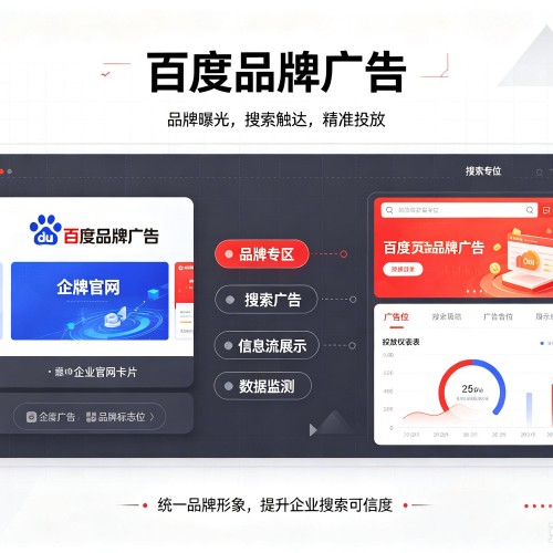 洛扎百度品牌广告